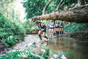 BIB: 
                            <button type="button" onclick="openModal(25477578)" class="btn btn-primary btn-sm float-right btn-popup" data-toggle="modal" data-target=".modal-high-quality">
                        <i class="fas fa-shopping-cart"></i> Add to Cart
                    </button>
                                            <button type="button" onclick="isThisMe(25477578, true)" class="btn btn-success btn-sm float-right btn-popup btn-isme hidden" data-toggle="tooltip" data-placement="bottom" title="นี่คือรูปของคุณใช่ไหม คลิกที่นี่เพื่อเอาเข้าอัลบั้ม">
                        <i class="fas fa-plus"></i> Add to album
                    </button>
                    <button type="button" onclick="isThisMe(25477578, false)" class="btn btn-warning btn-sm float-right btn-popup btn-isnotme hidden">
                        <i class="fas fa-ban"></i> Remove from album
                    </button>